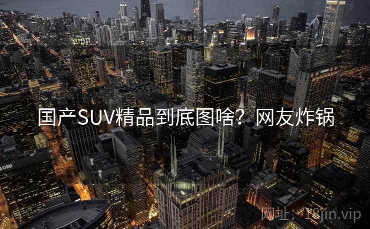 国产SUV精品到底图啥?网友炸锅 国产SUV精品到底图啥?网友炸锅