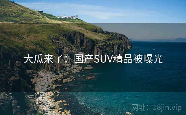 大瓜来了:国产SUV精品被曝光 大瓜来了:国产SUV精品被曝光